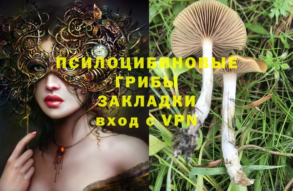 меф Нягань