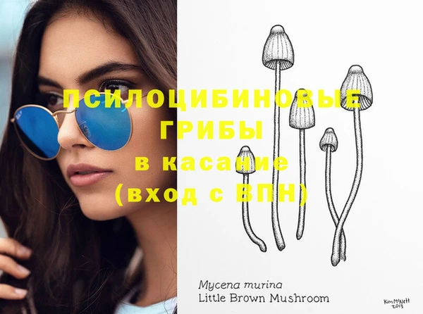 не бодяженный Новодвинск